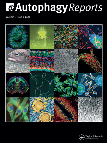 autophagy_reports_img