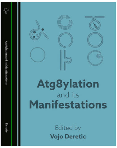 eBook: 'Atg8ylation and its manifestations'