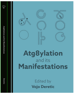 eBook: 'Atg8ylation and its manifestations'