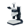 Leica M165 Microscope